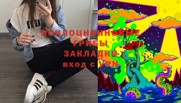 синтетический гашиш Каменка