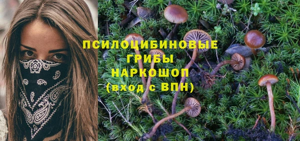 гашишное масло Каменногорск