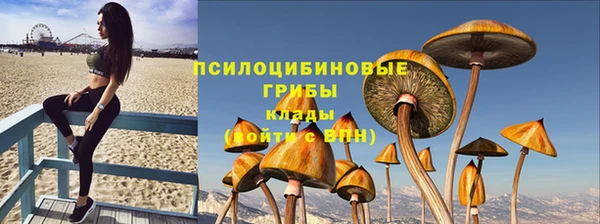 a pvp Каменск-Шахтинский